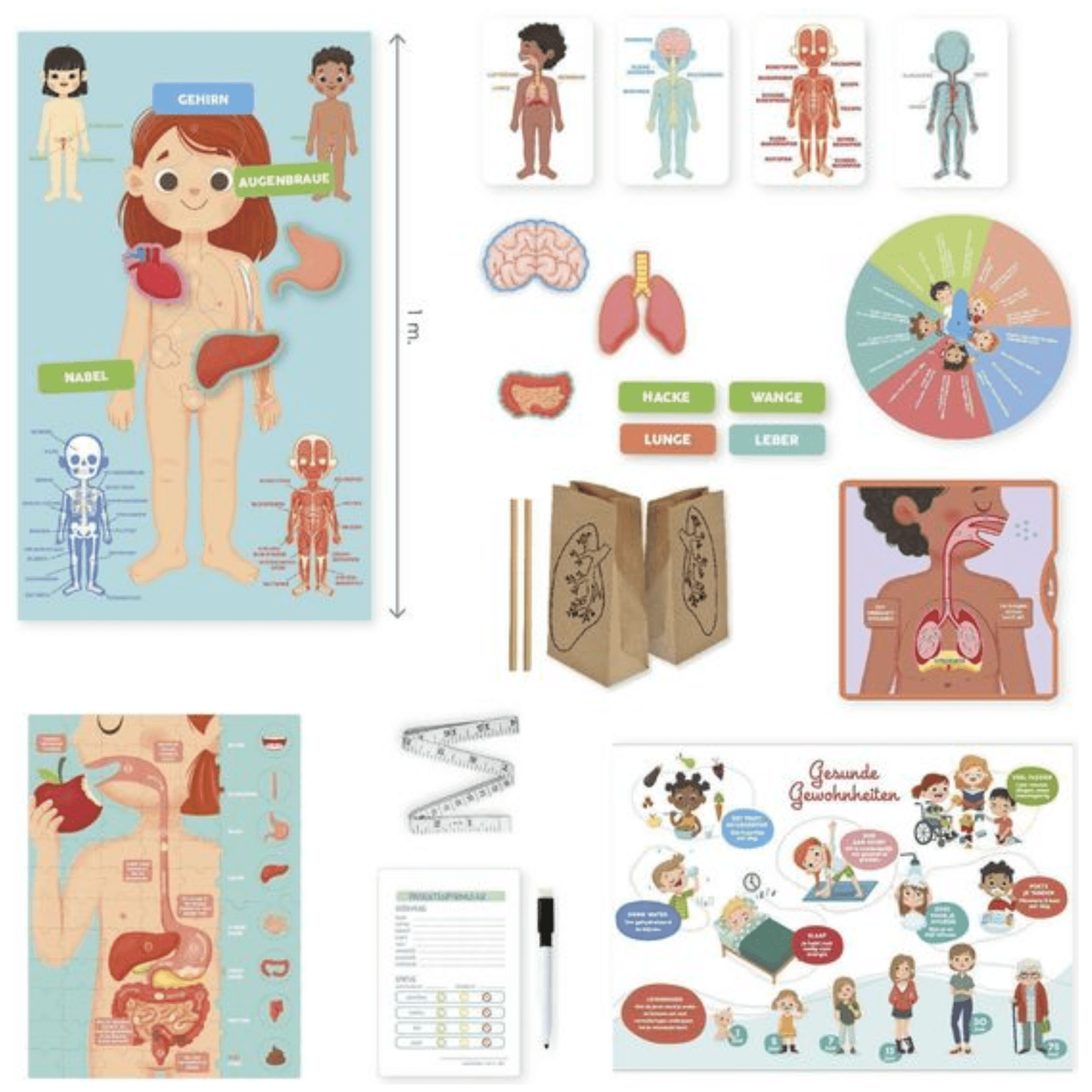 Light Gray Jumbo Spiele - Ich lerne Entdecken - Der Körper