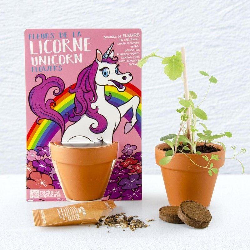 Einhorn Bio Blumenmischung im Topf