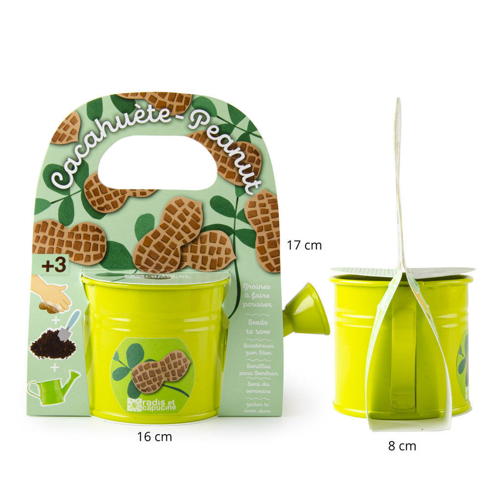 Grüne Mini-Gießkanne mit Erdnusssamen - Kidsimply GmbH