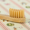 Bambus Zahnbürste (1 Stück) für Kinder oder Erwachsene - Kidsimply GmbH